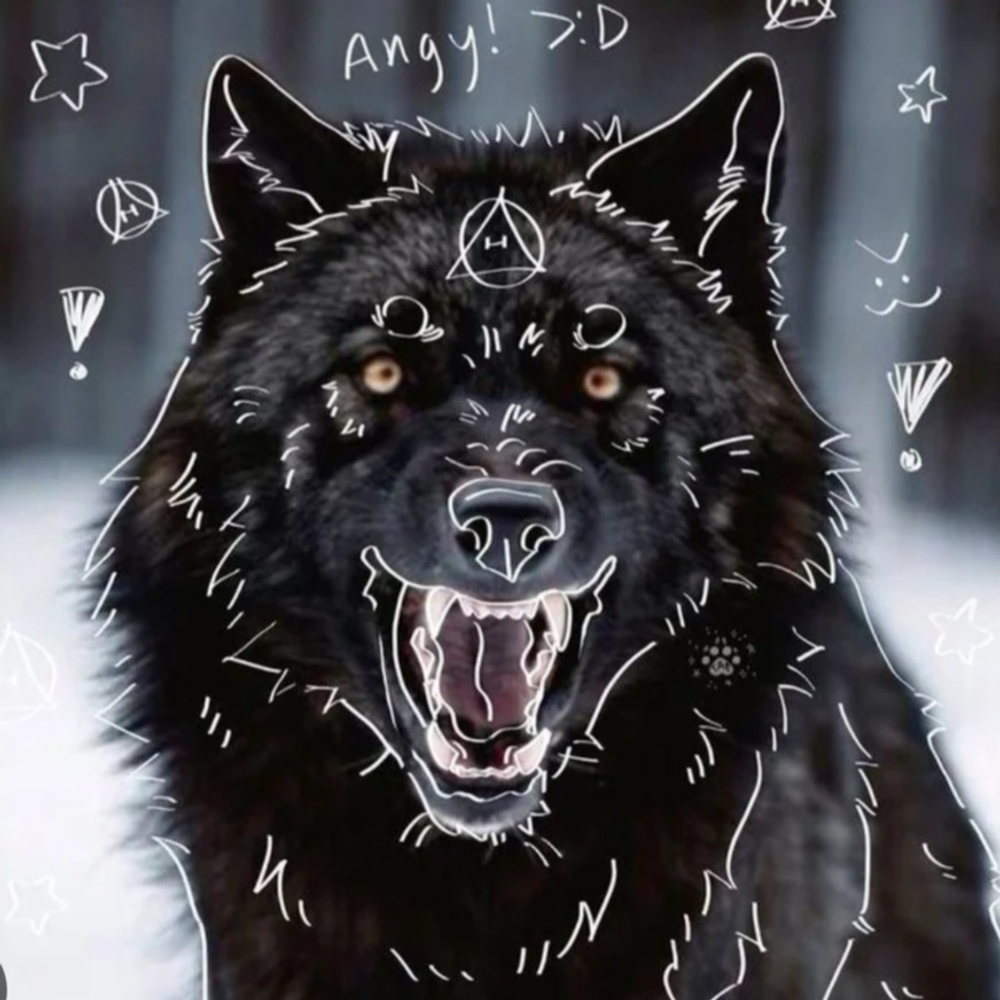 Ferirthedirewolf