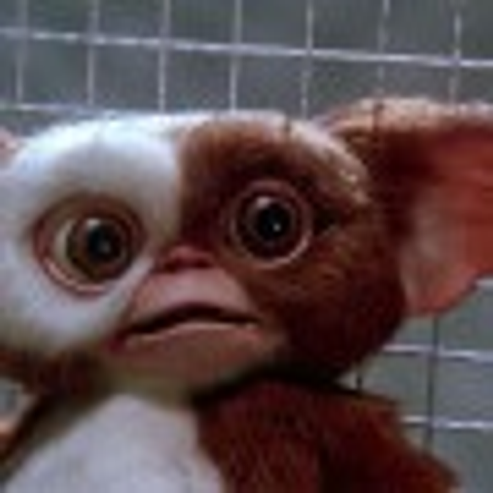 Gizmo