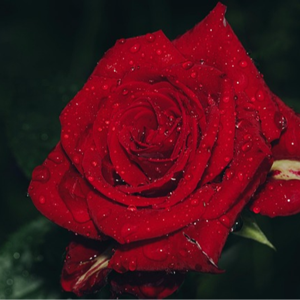 4R14
