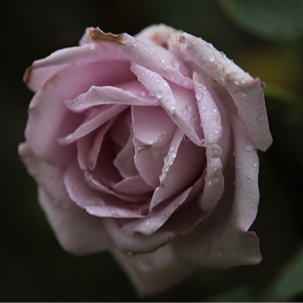 4R14