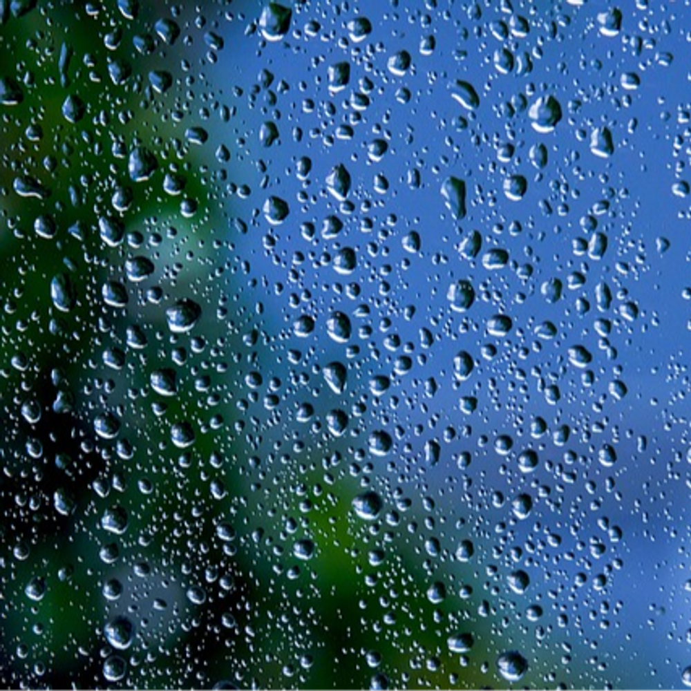 Lukewarm_Rain