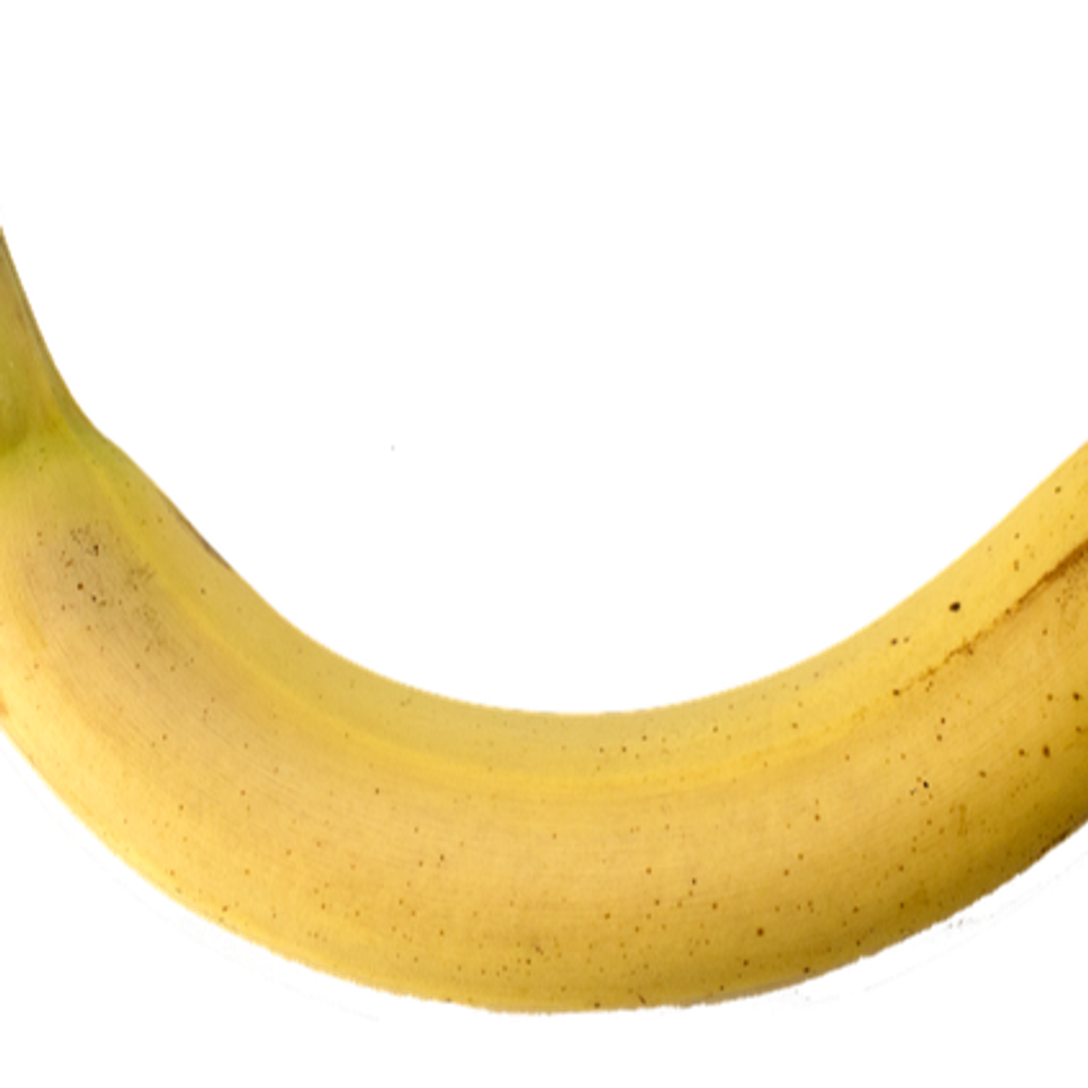 dipbid1